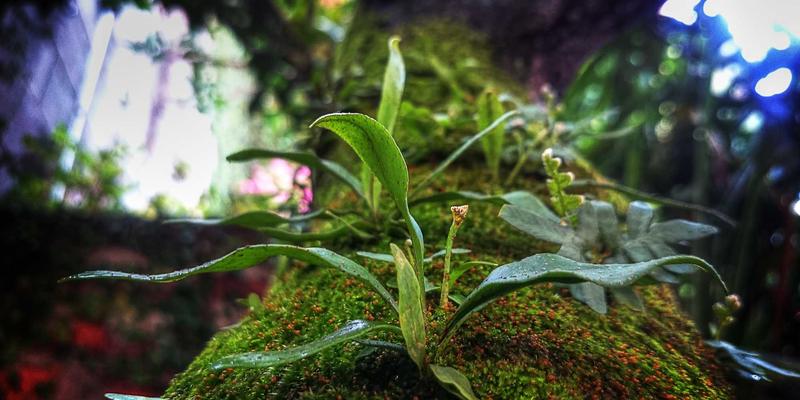 江苏新宇33：风能与太阳能的协同发展，如何引领新能源产业新格局？