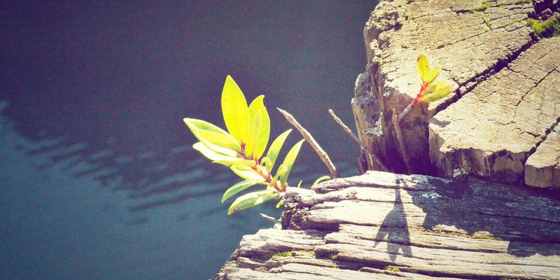 江苏新宇67：以环保科技引领可持续发展的太阳能先锋