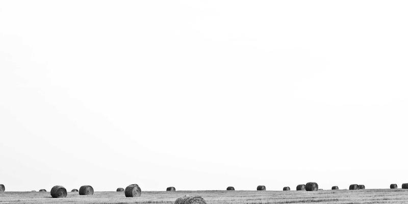 江苏新宇94：以风能为翼，驱动绿色未来的环保科技先锋