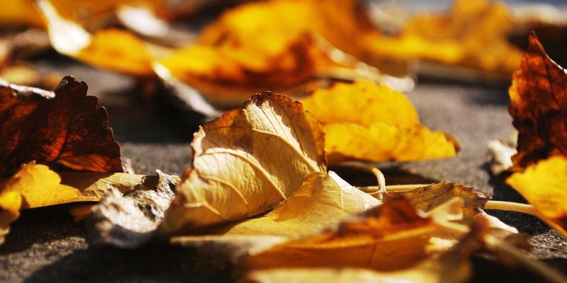 江苏新宇：乘长三角一体化东风，掘金储能与风能新蓝海