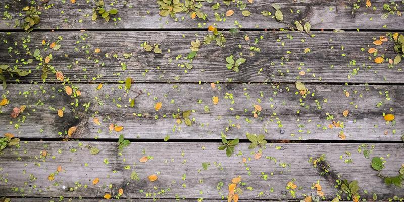 江苏新宇：以环保科技驱动新型电力系统，释放太阳能与灵活性资源的可持续发展潜力