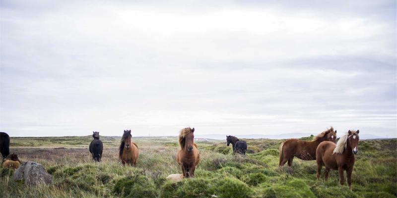 江苏新宇：以风能为翼，领航绿色能源新纪元