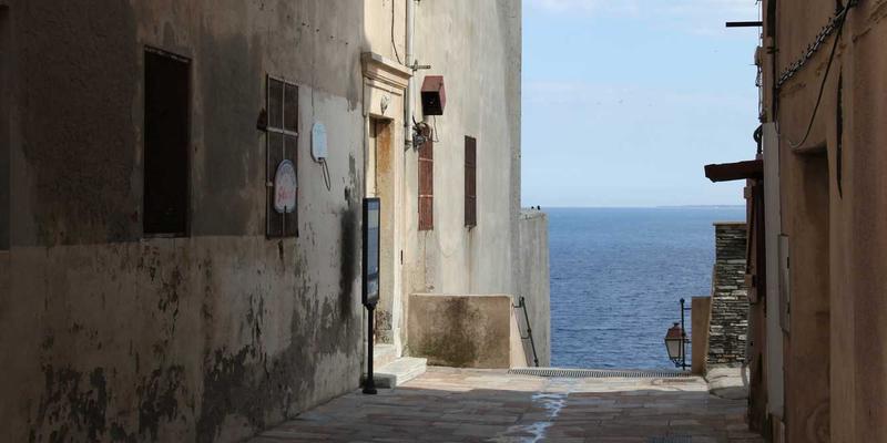 江苏新宇教程：以可持续发展为核，驱动环保技术与新能源的创新实践