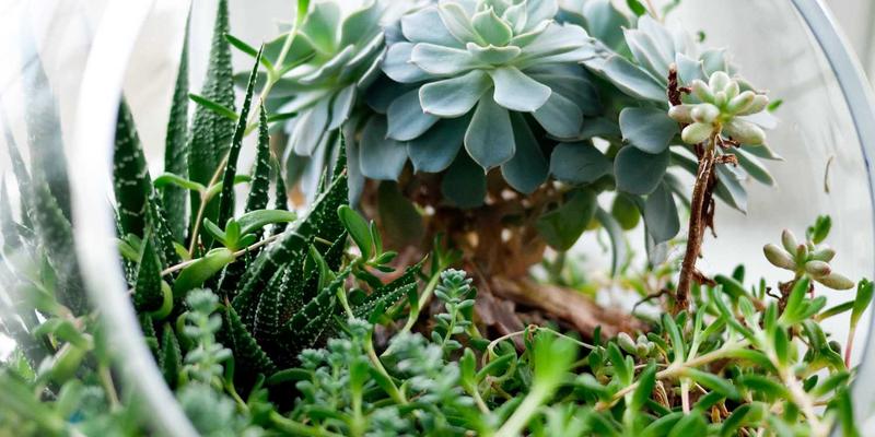 江苏新宇智慧水务：融合绿色能源与太阳能技术的工业节水循环实践