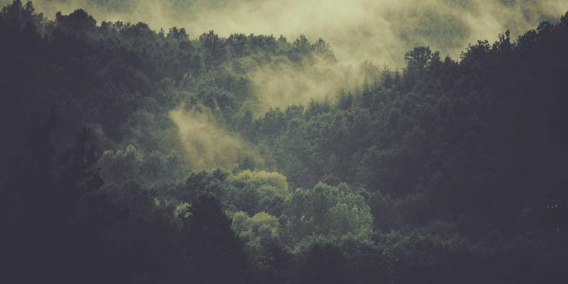 江苏新宇海上风电运维技术：高盐雾环境下的防腐与可靠性保障，助力可持续发展与储能协同