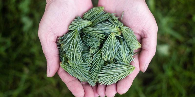 江苏新宇海外新能源EPC项目经验：储能与环保技术的本土化实践之路