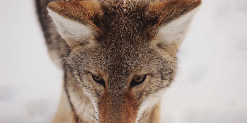 江苏新宇生物质能热电联产项目：探索农业废弃物资源化利用的绿色路径